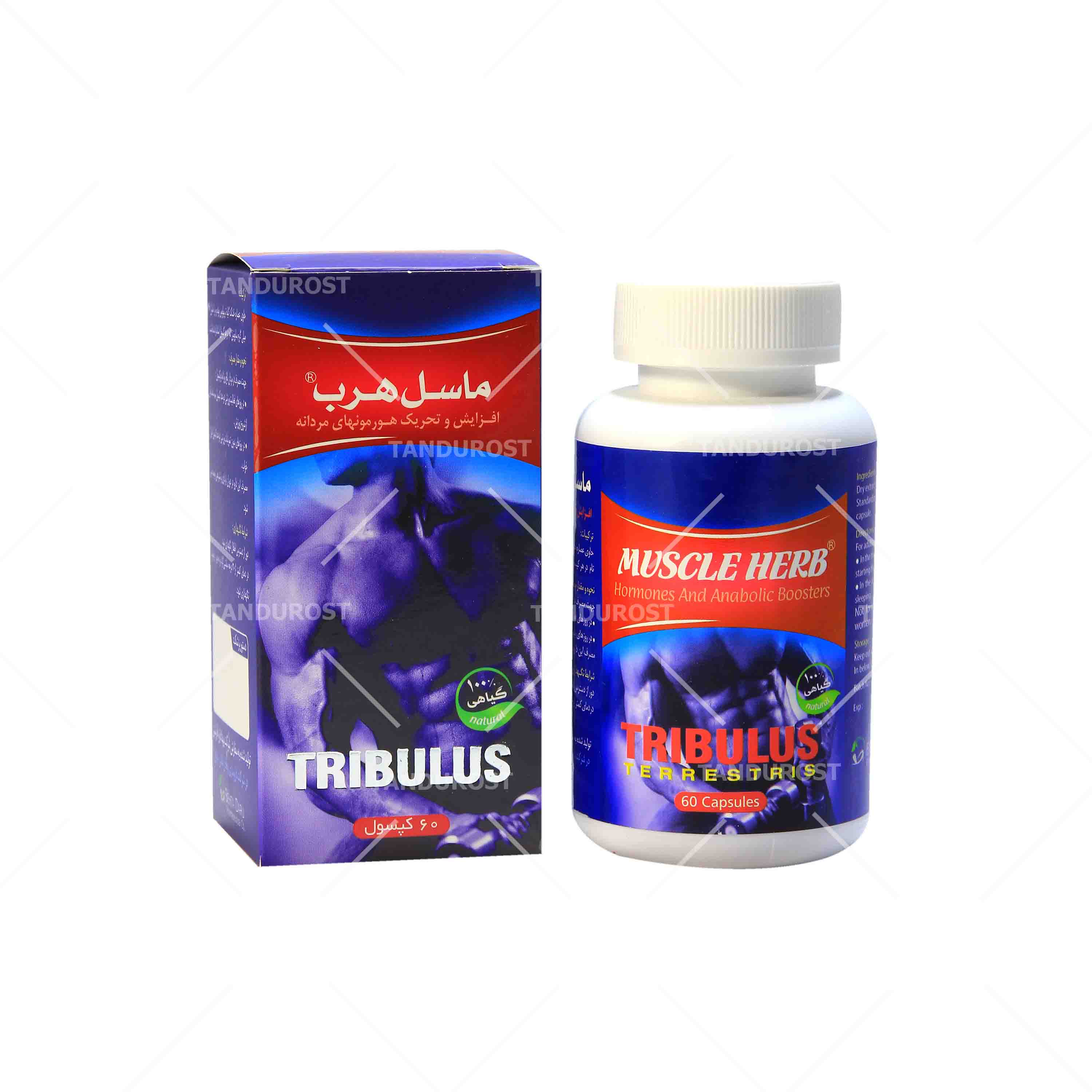 تریبولوس ماسل هرب بهتا دارو